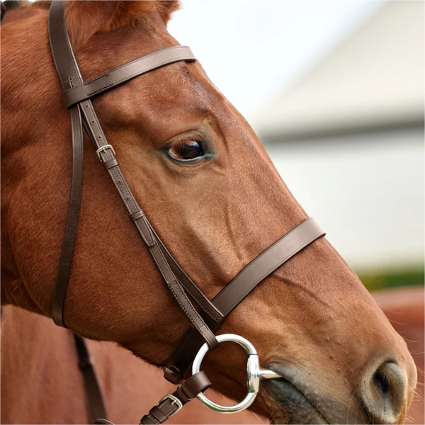 2026 Dublin Flat Cavesson Bridle 1031494 - Brown
